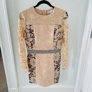 Endless Rose Blush Lace Mini Dress